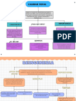 Mapa Conceptual Sencillo