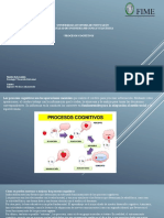 Procesos cognitivos: tipos, entrenamiento y su importancia