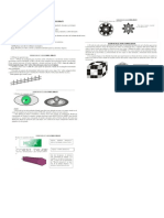 Practica Corel-Ejercicion Verificar