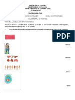 Prueba Sumativa Tema #2 La Célula y Sus Funciones.