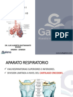 Anatomía 2 C