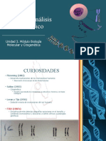 Técnicas de Análisis Cromosómico. Unidad 3 Módulo 4