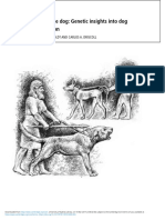 Origins of The Dog: Genetic Insights Into Dog Domestication: Bridgett M. Vonholdt and Carlos A. Driscoll