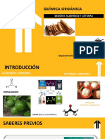 S9.-Sesión N°9 Aldehídos y Cetonas