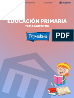 Tema 20 Primaria