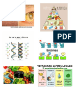 Enfermedades Deficiencia de Vitaminas Clasificacion de Las Vitaminas Acidos Nucleicos Piramide Alimenticia