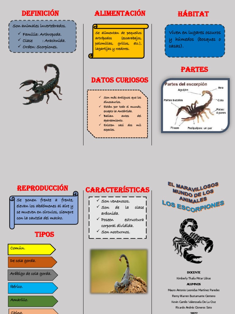 Tríptico Escorpion | PDF