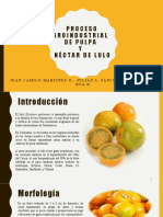 Exposicion Frutas y Hortalizas