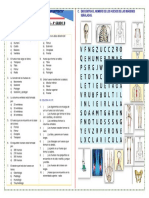 Practica - Sistema Oseo