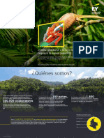 Ey Colombia Brochure Firma