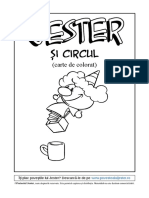 jester-si-circul