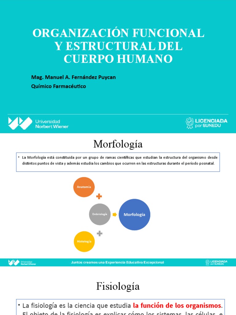 Semana 1 Organizacion Funcional y Estructura Del Cuerpo Humano | PDF ...