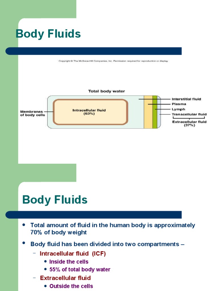 Body Fluids PDF Kidney Physiology