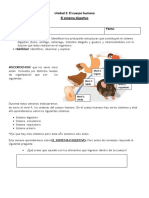 Digestivo PDF