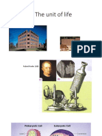 Cell PDF