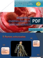 Desarrollo Embriológico Del Sistema Nervioso