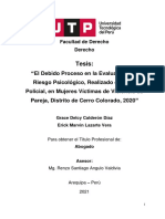 El Debido Proceso en La Evaluación Del Riesgo Psicológico, Realizado en Sede Policial, en Mujeres VíctimDistrito de Cerro Colorado, 2020