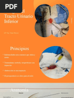 Copia de Cirugia de Vejiga y Uretra