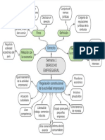 SEMANA 1 Mapa Mental