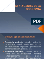 Ramas y Agentes de La Economia