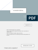 Conjuntiva Moodle