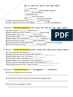 Possessives Practice