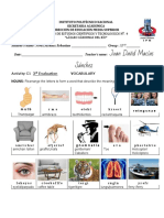 Vocabulary and compound nouns practice