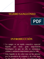 tejido-sanguineo