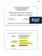 Biomasa Bajo Suelo - COS - 2022A