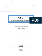 Dossier Interne CFG