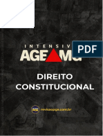 PDFIGHT Direito Constitucional Poder Constituinte Att em 24 05 2022