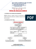 Tipos de Células Huevo