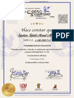 Diploma 2 ECSP1162 I79363