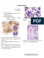 Hemato Hemograma