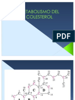 Metabolismo Del Colesterol