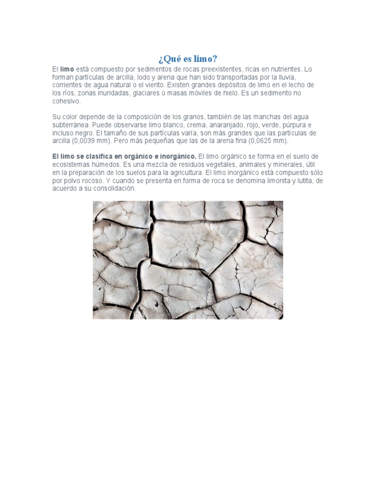 Qué Es Limo y Revestimiento | PDF | Suelo | Barro