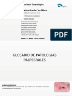 Patologías de los párpados y conjuntiva