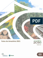 AMZ2030 Fatos Da Amazonia 2021 3