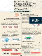 Desarrollo Embrionario