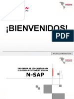 N Sap Latinoamerica