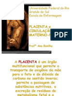 Placenta e Circulação