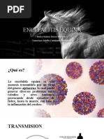 Encefalitis Equina