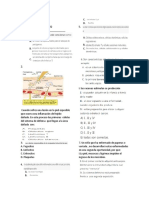 Evaluacion Iii Periodo Naturales 8º