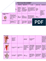 10 Músculos Del Miembro Superior