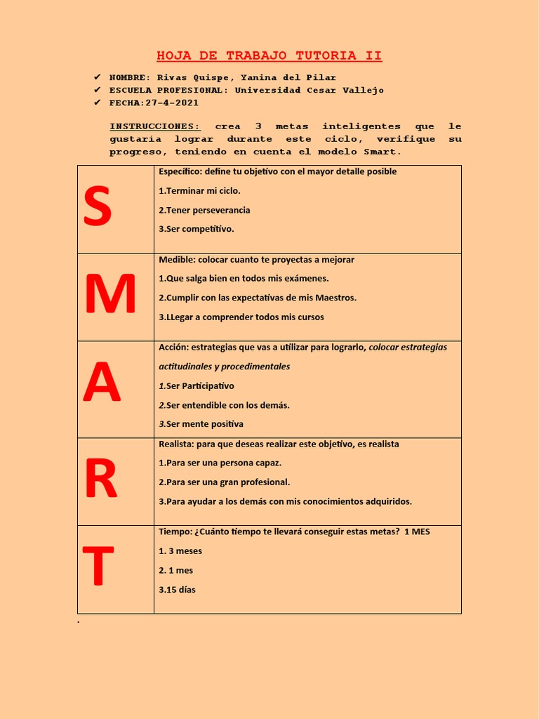 Formato de Metas 1 | PDF