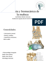 Anatomía y Biomecánica de La Muñeca