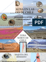 Zonas de Chile