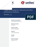 Aplicación de La Ética Profesional en Honduras.