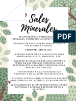 Sales Minerales Biologia Mencion