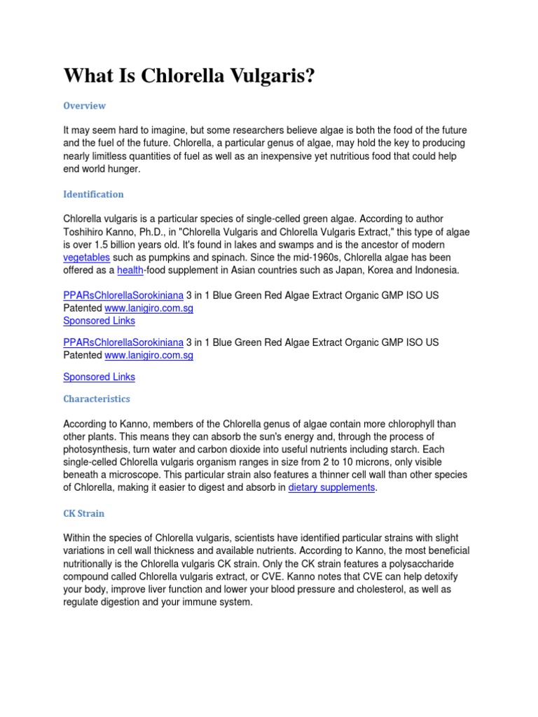 What Is Chlorella Vulgaris PDF Algae Nutrients